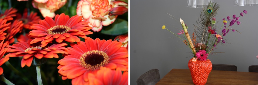 Gerbera 2