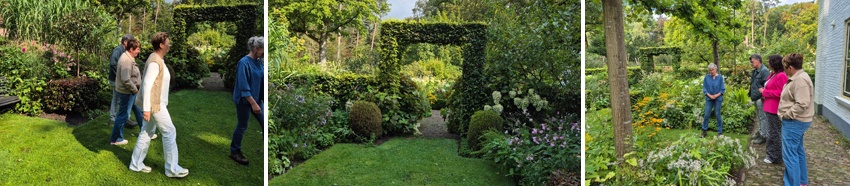 Pluktuin 4