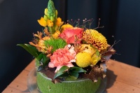 bloementaart_festival