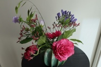 des_pots_bloemschik