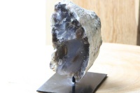 versteend_hout