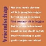 vriendschap_480844959