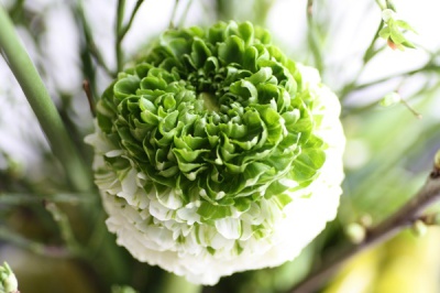 bloemwerk_maar_dan_effen_anders-1