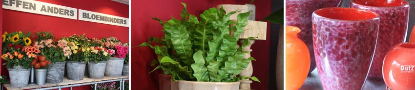 In een groen groen3