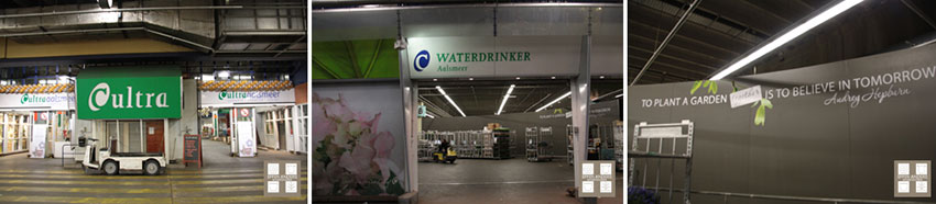 Planten en varens
