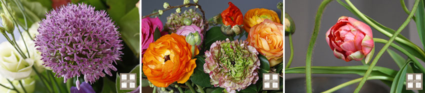 Bloemen die samen mooi combineren