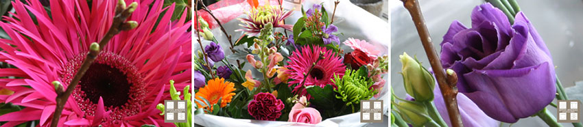Bloemen die samen mooi combineren