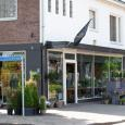 winkel in dinxperlo